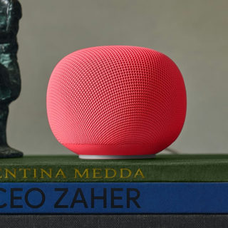 Google Home Speaker Berry/Framboise