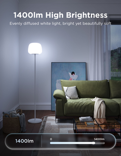 Govee Lantern Floor Lamp S