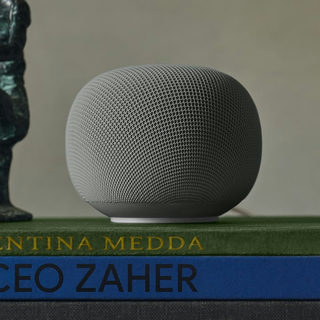 Google Home Speaker Hazel/Vert Lichen