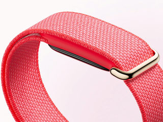 Google Fitbit Air Berry