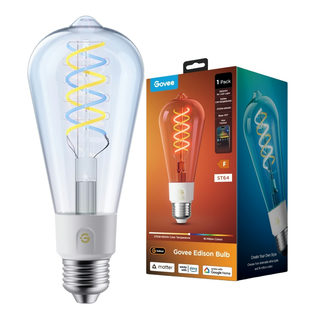 Govee Edison Bulb